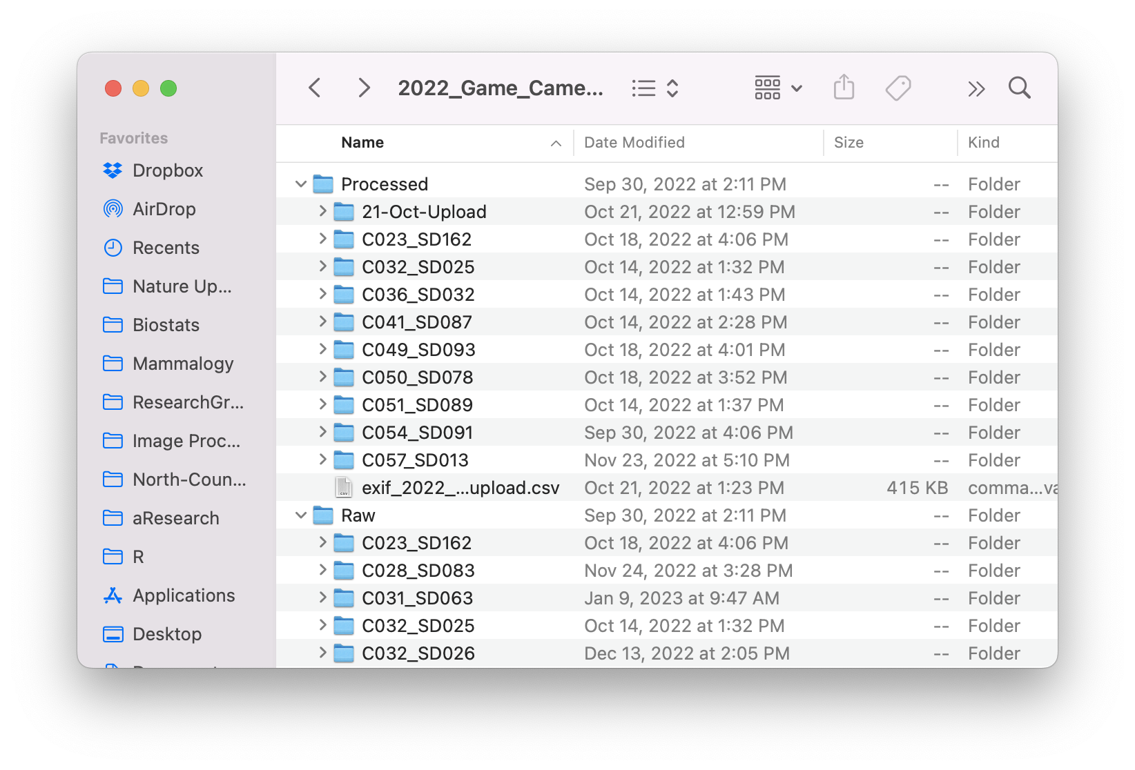 Processed and Raw folders with subfolders for each camera + sd card combination