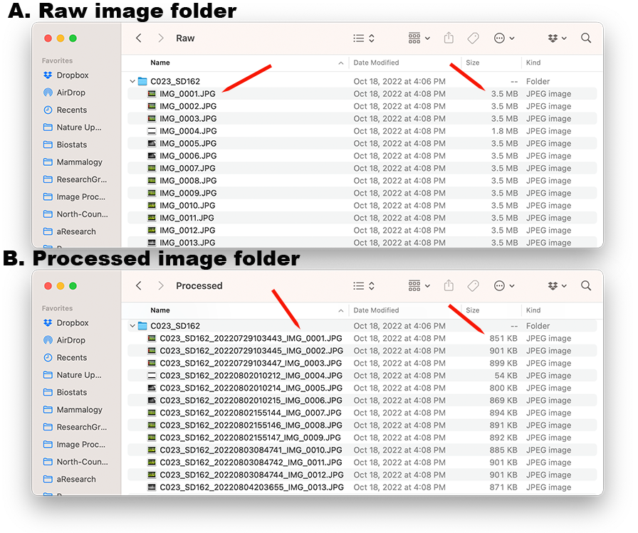 Comparison of the Raw and Processed images for Camera-SD card C023_SD162