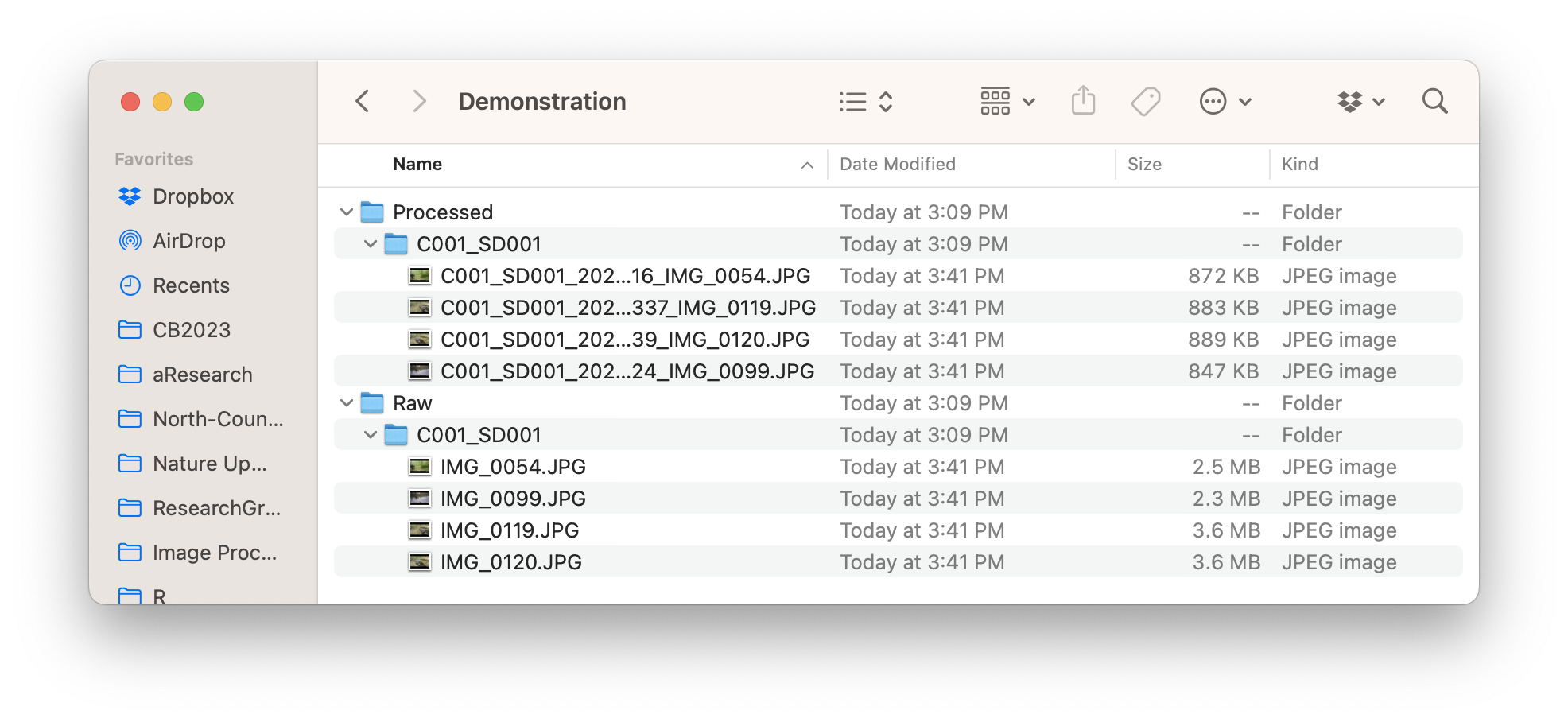 The same Raw and Processed folders for a demonstration set of images after image processing